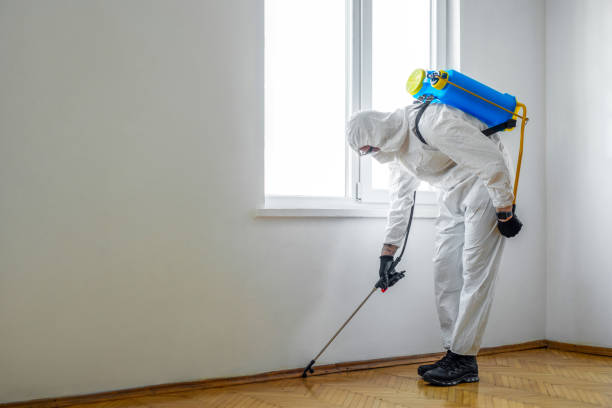 Best Pest Exclusion Services  in Belle Haven, VA